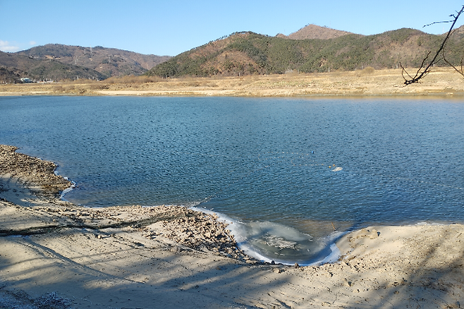 12일 달성군 농민들이 합천창녕보 개방 이후 물고기 폐사, 농업 피해가 발생했다며 보 개방을 중단하라고 촉구했다. 대구 달성군 제공