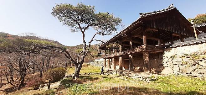 봉정사 입구