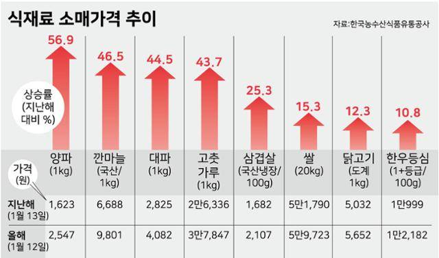 식재료 소매가격 추이를 보면 지난해 같은 시기에 비해 밥상 물가가 크게 올랐다. 강준구 기자.