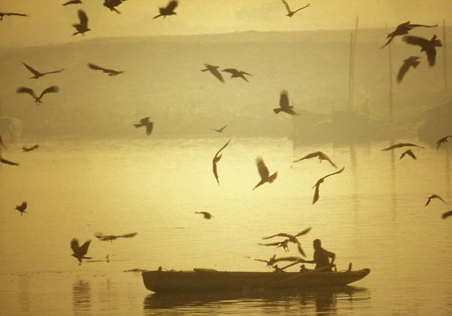 후지와라 신야는 “(인도는) 자연 속의 생명들이 저마다 독자의 강한 개성을 갖고 자기를 주장한다”고 말했다. 그는 “ ‘무엇을 찍지 않을 것인가’ 하는 마이너스 작업”을 거친 뒤 갠지스강 등 인도 풍경을 촬영했다. ⓒ후지와라 신야, 작가정신 제공