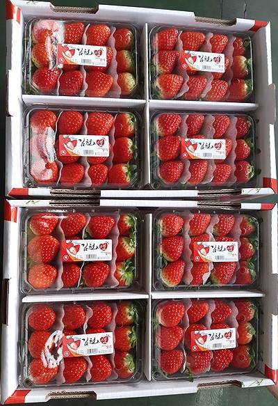 김천딸기(김천시 제공)