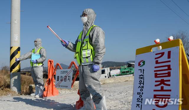 [정읍=뉴시스] 김얼 기자 = 전북 정읍시의 한 농가의 오리가 조류인플루엔자(AI) 중앙사고수습본부의 검사 중 AI 의심사례로 확인된 28일 오리농장 입구에서 관계자들이 일대를 통제하고 있다. 2020.12.28.pmkeul@newsis.com