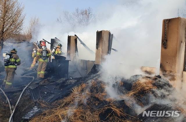 [괴산=뉴시스]폐축사 불. (사진=괴산소방서 제공) photo@newsis.com