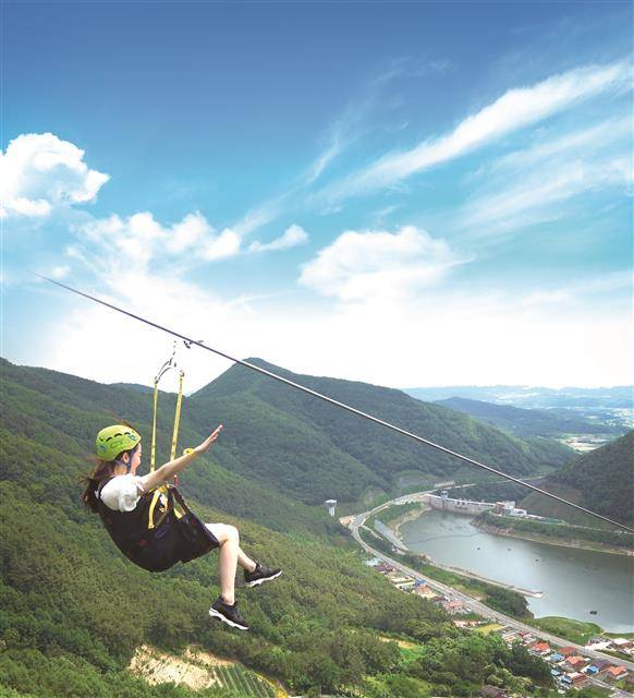 영천 보현산댐 집와이어(집라인).영천시 제공