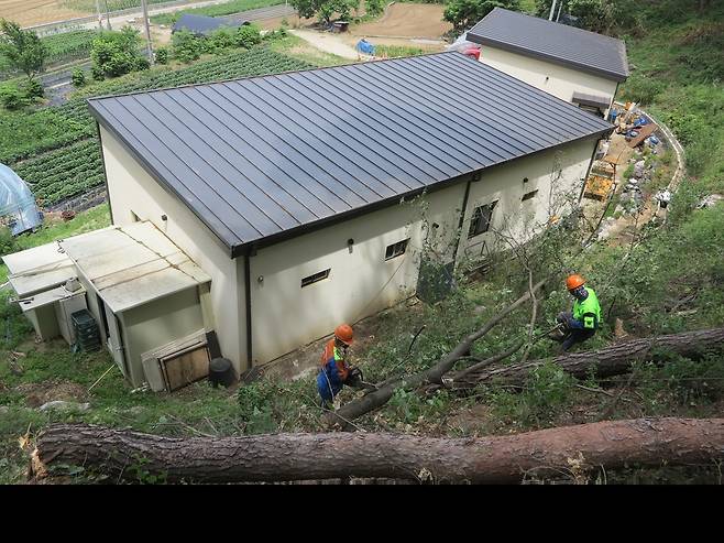 북부산림청 숲 가꾸기 패트롤 운영 (원주=연합뉴스) 북부지방산림청은 올해 서울·경기와 강원 영서 지역 산림 현장 민원을 신속하게 해결하기 위해 숲 가꾸기 패트롤 7개 단을 운영한다. 사진은 숲 가꾸기 패트롤이 주택 주변 위험목을 제거하고 있다. 2021.1.13 [북부산림청 제공·재판매 및 DB 금지]