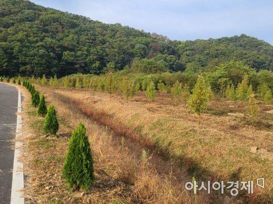 자료사진 [아시아경제 DB]