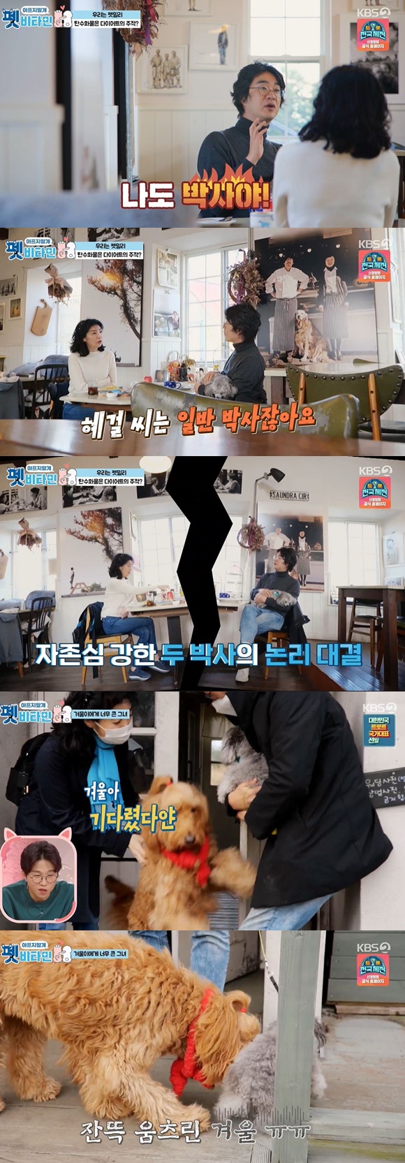 /사진= KBS 2TV 예능 '펫비타민' 방송 화면