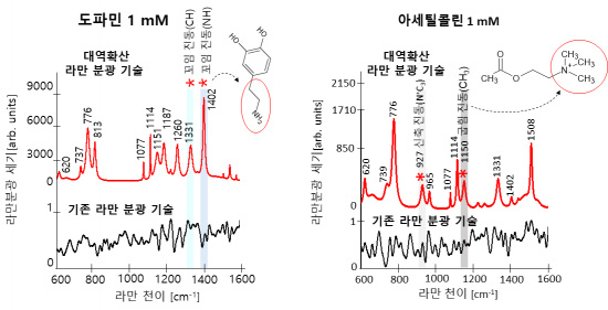 도파민과 아세틸콜린을 대역확산 라만 분광 기술로 측정한 스펙트럼