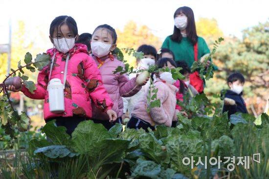 서울 양천구 신트리공원 내 텃밭에서 어린이들이 밭작물 수확 체험을 하고 있다. 2020.11.3 /문호남 기자 munonam@