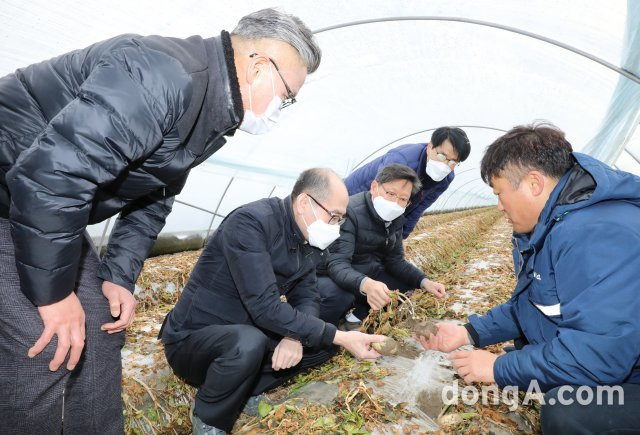 유찬형 농협중앙회 부회장(왼쪽 두번째)이 15일 전북 김제시 광활농협 관내 시설감자 재배농가를 방문해 폭설 한파 피해상황을 살펴보고 현장 의견을 청취하고 있다. 농협 제공