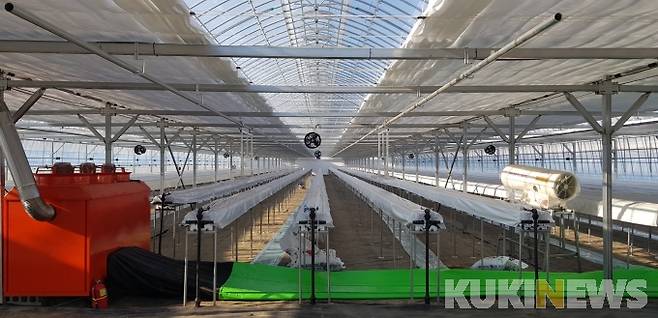 강원 삼척시 스마트 온실(사진=삼척시청 제공)