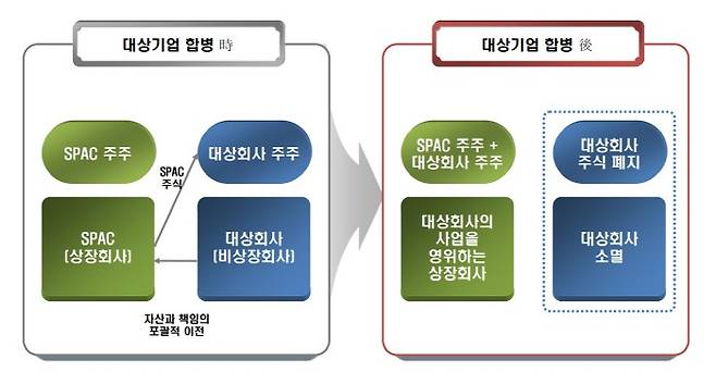 [그래픽 출처 = 한국자본시장연구원]
