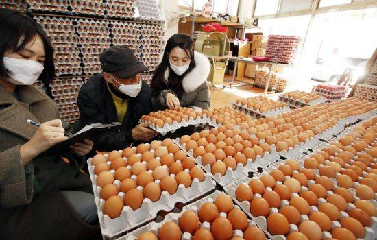 [이미지출처=연합뉴스]