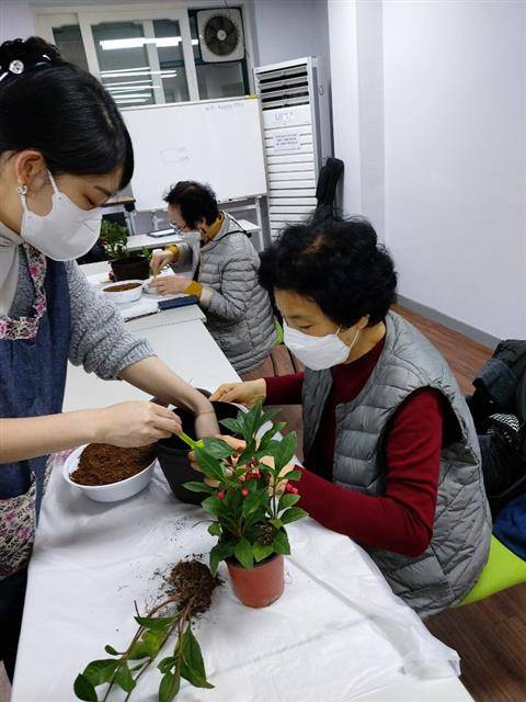 서울 서초구가 독거 어르신들을 대상으로 원예 교육 프로그램을 진행하고 있다.서초구 제공