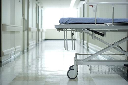 (사진=이미지투데이)