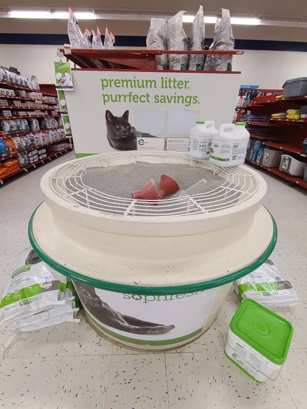 뉴욕주 나누엣 펫코 매장에서 판매 중인 고양이 관련 용품들 [박용범 특파원]