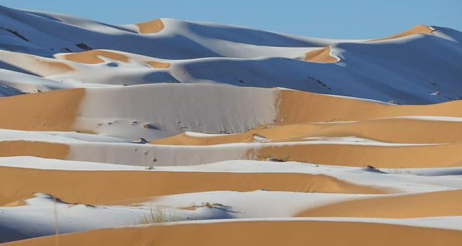 사하라 사막의 관문이라 불리는 알제리 아인 세프라 지역에도 눈이 내렸다./사진=Karim bouchetata 트위터 캡쳐