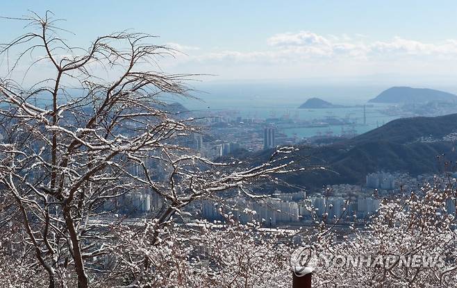 부산 산간 지역에 쌓인 눈 지난해 12월 30일 부산 산간 지역에 쌓인 눈