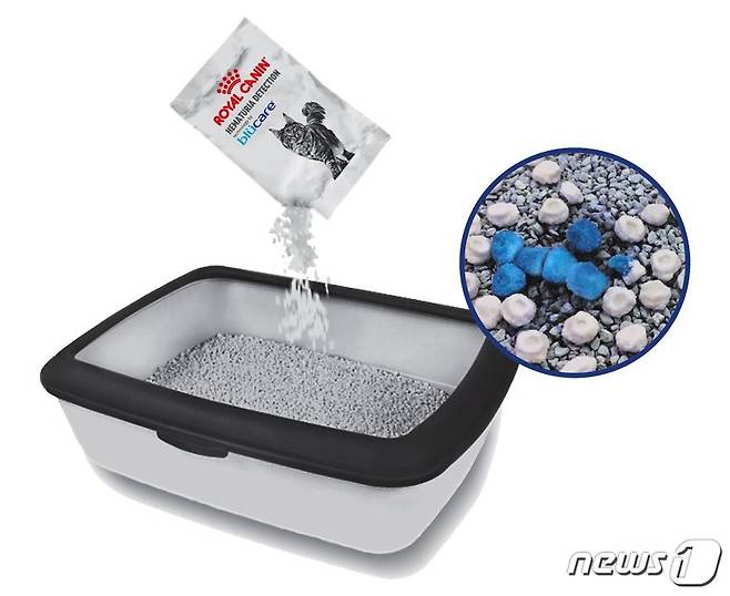 고양이 체외진단 의료기기 '헤마츄리아 디텍션 바이 블루케어' 사진 로얄캐닌 제공 © 뉴스1