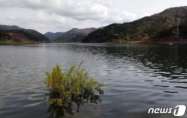 전남 나주 봉황면 만봉저수지.  2020.4.17/뉴스1 © News1