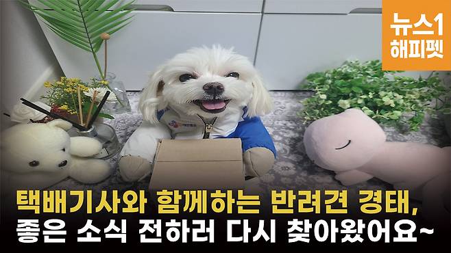 사진=온라인 커뮤니티© 뉴스1