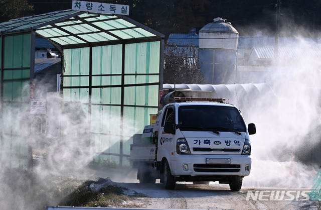 [용인=뉴시스] 김종택기자 = 28일 오후 경기 용인시 원삼면 한 오리농장에서 용인축산농협 방역차량이 조류인플루엔자(AI) 방역활동을 하고 있다. 농림축산식품부는 경기 용인시 청미천 주변에서 지난 24일 채취한 야생조류 분변 시료를 분석한 결과 H5N8형 조류인플루엔자 항원이 검출됐다고 밝혔다. 2020.10.28.jtk@newsis.com