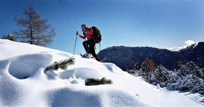 햇빛이 반사돼 보석처럼 빛나는 눈을 헤치고 다르코가 앞으로 전진한다.