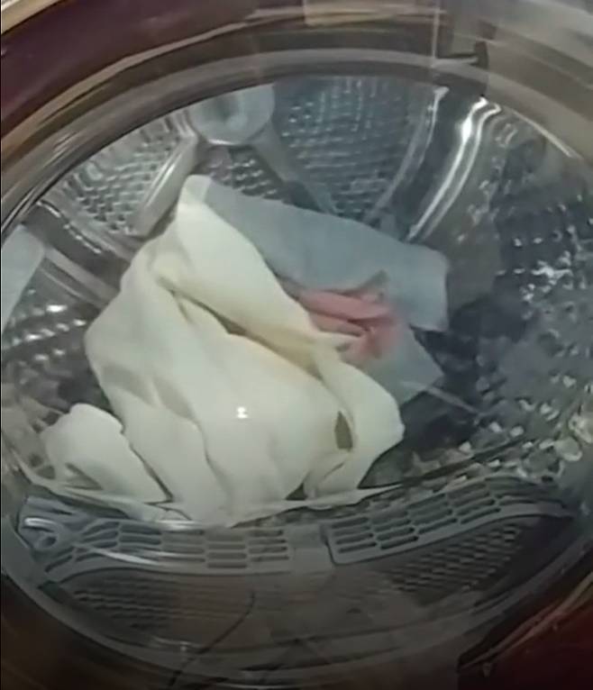 소비자가 "'펑' 소리와 타는 냄새가 난 후 건조기가 작동하지 않았다"며 인터넷에 올린 영상ⓒ인터넷 커뮤니티