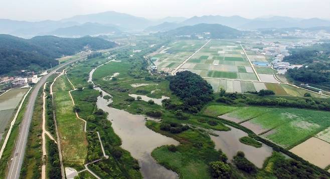 김해 화포천 유역 [경남 김해시 제공. 재판매 및 DB 금지]