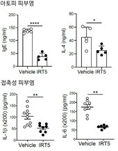 IRT5 투여군에서 아토피 피부염 유발인자(lgE, IL-4)와 접촉성 피부염 유발인자(IL-1β, IL-6) 모두 대조군 대비 50% 정도 낮게 나타났다.