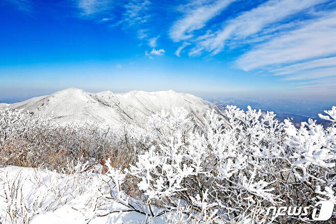 영주 소백산 (경북도문화관광공사 제공)2021.1.20/© 뉴스1