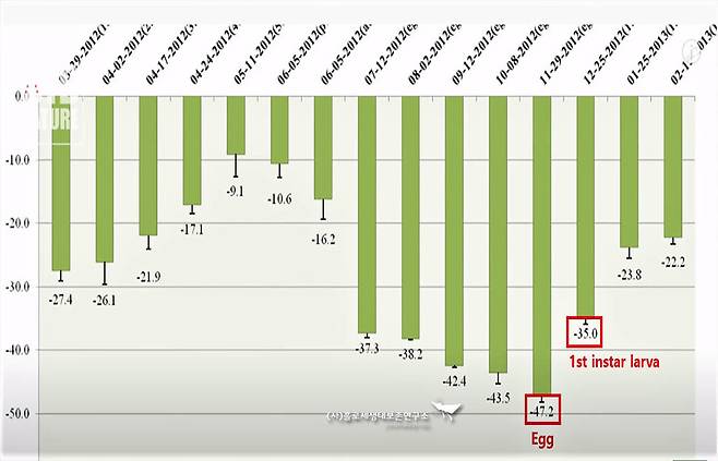 붉은점모시나비가 추위에 얼마나 잘 견디는지 실험한 기록. 알은 영하 47도, 1령 애벌레는 영하 35도를 견딘다.