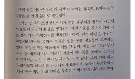 김 작가의 소설을 표절한 도용작의 일부분. 페이스북 캡처