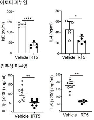 (서울=연합뉴스) IRT5 투여군에서 아토피 피부염 유발인자(lgE, IL-4)와 접촉성 피부염 유발인자(IL-1β, IL-6) 모두 대조군 대비 50% 정도 낮게 나타났다. 2021.01.20. [세브란스병원 제공. 재판매 및 DB 금지]