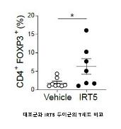 (서울=연합뉴스) IRT5 투여군에서 대조군에 비해 면역조절 T세포 수가 많은 것으로 조사됐다. 2021.01.20. [세브란스병원 제공. 재판매 및 DB 금지]