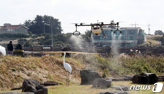 지난해  11월23일 오전 고병원성 조류인플루엔자(AI)가 확진된 제주시 구좌읍 하도리 철새도래지에서 드론을 활용한 방역작업이 진행되고 있다.2020.11.23/뉴스1 © News1 오현지 기자