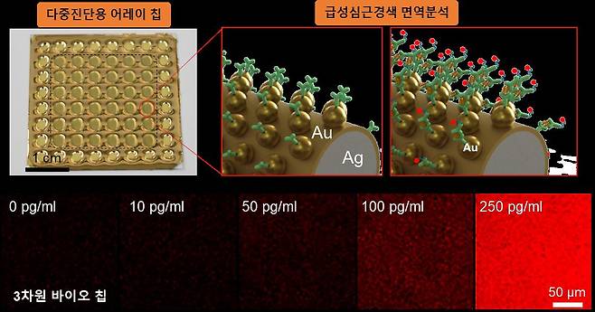 초고감도 급성심근경색 진단용 바이오칩 및 면역분석 결과.[한국재료연구원 제공]