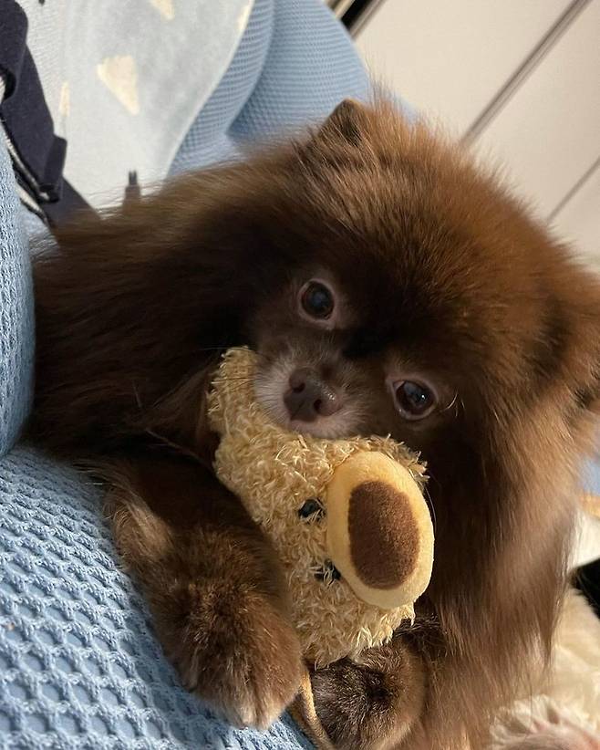 Group BLACKPINK Jenny Kim shared a daily photo with her pet dog.Jenny Kim posted several photos on her Instagram account on January 21, along with an article entitled Swipe left for some cute puppy photos.In the photo, Jenny Kim is wearing a bucket hat on a sleeveless tee and taking a mirror selfie, and she catches her eye with her beautiful beauty even in her modest face.The ensuing photo showed Jenny Kims pet dogs showing off their charm in a cute figure, which caused a smile on their mothers and made fans minds feel hearts pounded.Meanwhile, Jenny Kim recently opened a personal YouTube channel, which has exceeded one million subscribers in a day and currently has 4.44 million subscribers.Lee Soo-min in the news