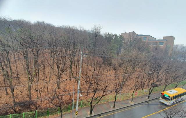 김포시가 임차 예정인 사우동 산 20-11일대 주차장 부지 임야.