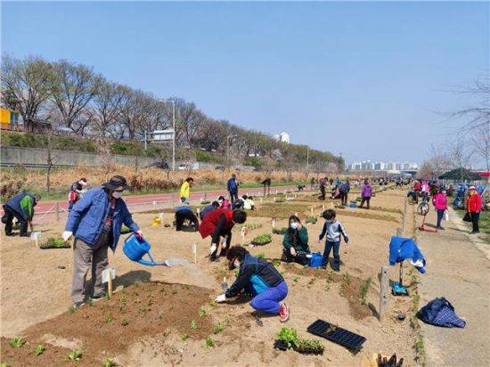 지난해 도시농업 체험학습장에 참가한 가족이 채소에 물을 주고 있다.