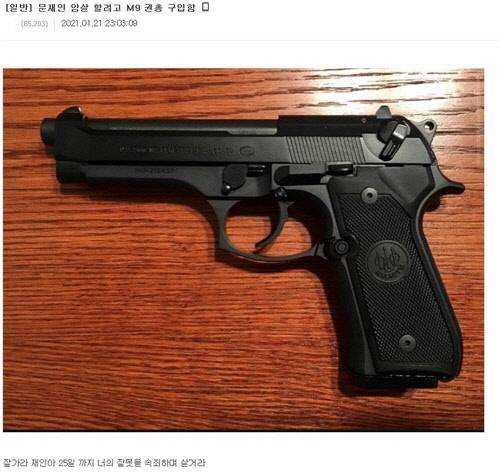 인터넷에 올라온 '대통령 암살하려 권총 샀다' 글[디시인사이드 캡처]