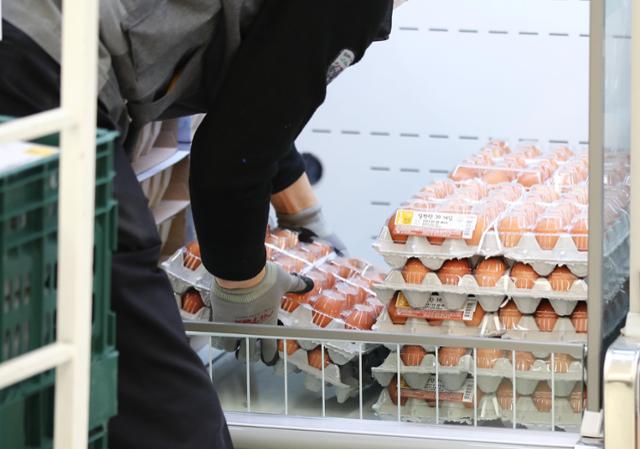 22일 서울의 한 대형마트 직원이 계란을 판매대에 채워 넣고 있다. 고병원성 조류인플루엔자 확산 영향으로 계란 가격이 상승하고 있어 주요 대형마트들은 구매 수량 제한에 들어갔다. 연합뉴스