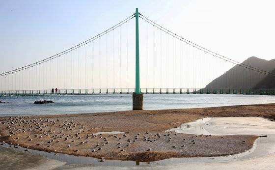 경북 영덕의 길은 하나같이 바다로 나 있거나, 바다와 나란히 누워 있다. 블루로드를 걸었다. 부산에서 강원도 고성까지 동해안을 잇는 해파랑길의 원조와 같은 길이다. 해안 절벽을 걷다 보면 파도가 수시로 넘나든다. 사진은 영덕 축산항 블루로드 다리.