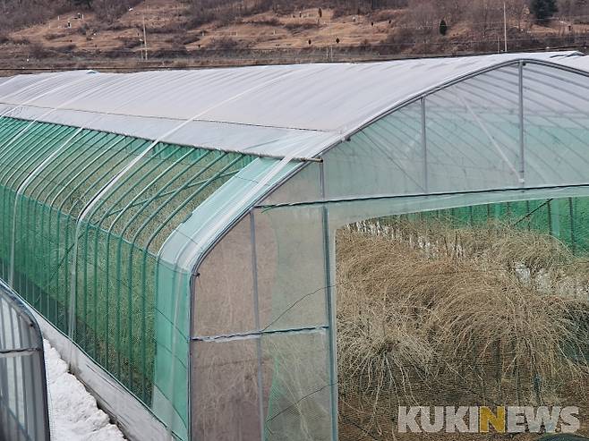 비가림시설 측장 완전개폐 모습.