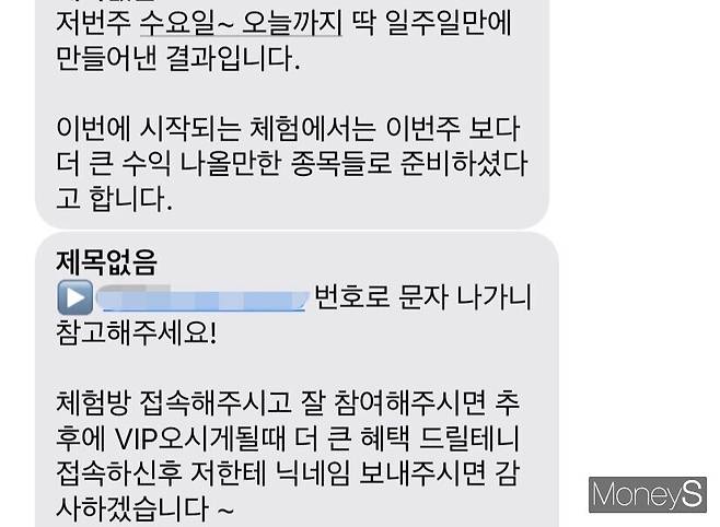 주식리딩방·유사투자자문사로 인한 주식 피해사례가 늘고 있다. /사진= 관련 문자 캡처(뉴스1)