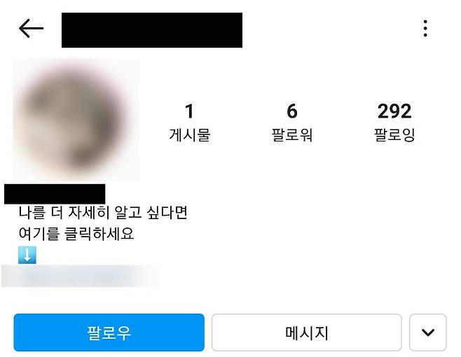 음란 댓글을 남기는 인스타그램 계정. 불법 성인 사이트 및 성인 데이트앱으로 연결되는 링크를 누르도록 유인한다. [인스타그램 캡처]
