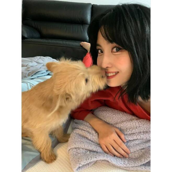 Group TWICE MOMO reported on the adoption of an abandoned dog.On January 21, TWICE official Instagram said, Once! Yesterday, as you can tell from V-App, Boo has a brother.The name is probably Dobyy  Dobyy or Wyr?  Doby is a dog. I was worried about Doby because he was an abandoned dog.I will raise Dobu Dobie pretty in the future, I will show off a lot to Once. In the open photo, MOMO released a large number of photos taken with the dog Dobie, who posted photos of selfies with two dogs and Dobie Dobie.In this news, the netizens responded that the face and the heart are good and the heart is warm.Lee Ye-ji on the news