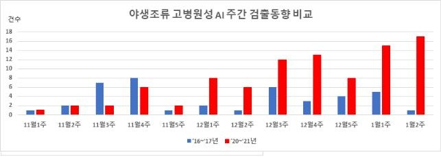 야생조류 고병원성 AI 주간 검출동향(수거·채취일 기준) 비교 [환경부 제공. 재판매 및 DB 금지]