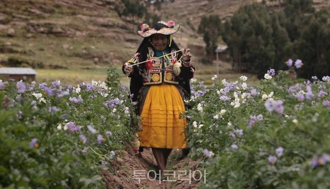 사진=울주세계산악영화제 제공