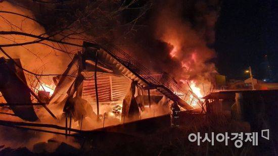 자료사진 [소방본부 제공]